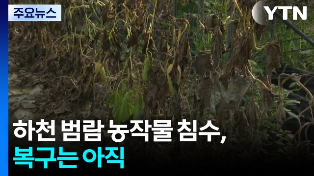 하천 범람 농작물 침수, 복구는 아직...이 시각 청주 / YTN