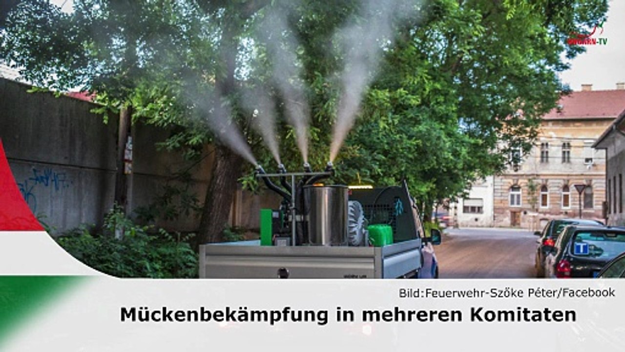 hallo ungarn – Kurznachrichten am 22.07.2025