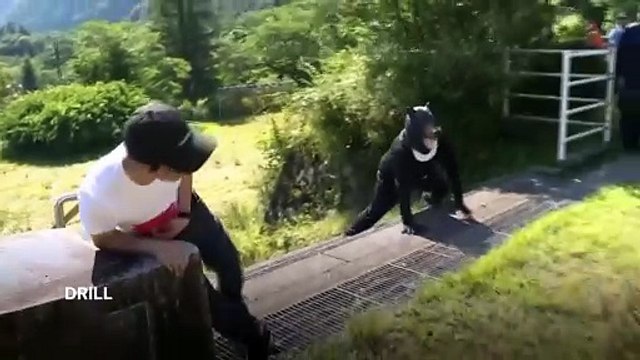 Japão reforça medidas de segurança contra ataques de ursos