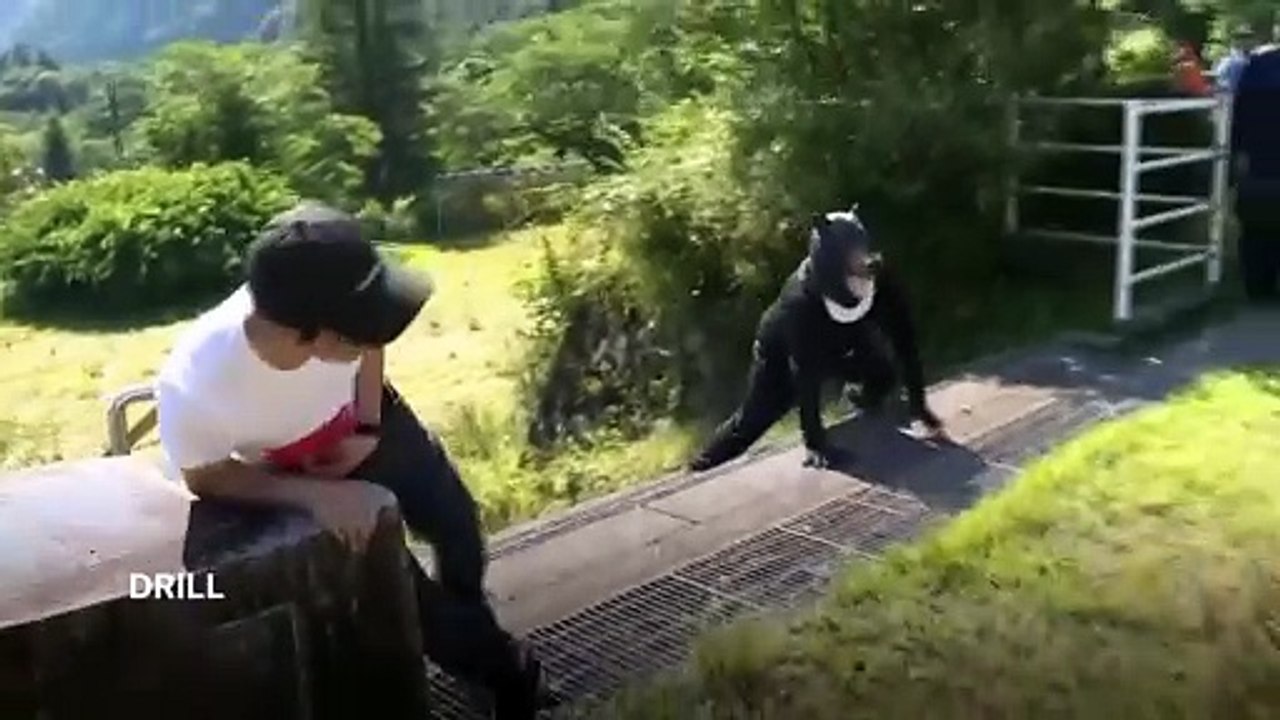Nach Bären-Angriffen in ganz Japan - Tochigi probt den Ernstfall