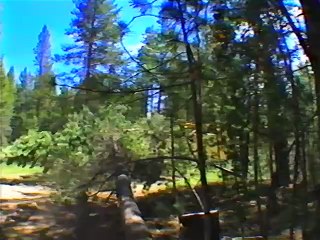 Public Lands, Private Profits