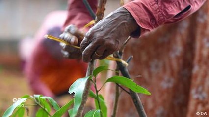 Thrithala's sustainable water revolution