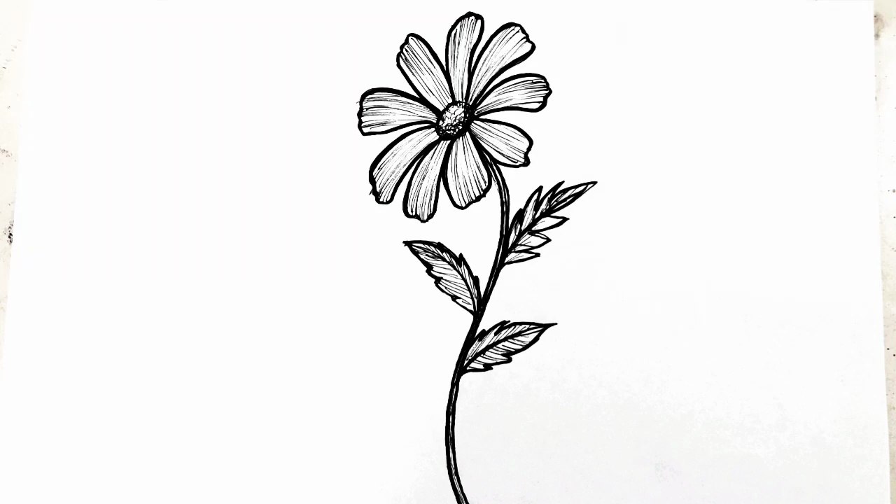 How to draw a flower easy step by step - Simple flower drawing