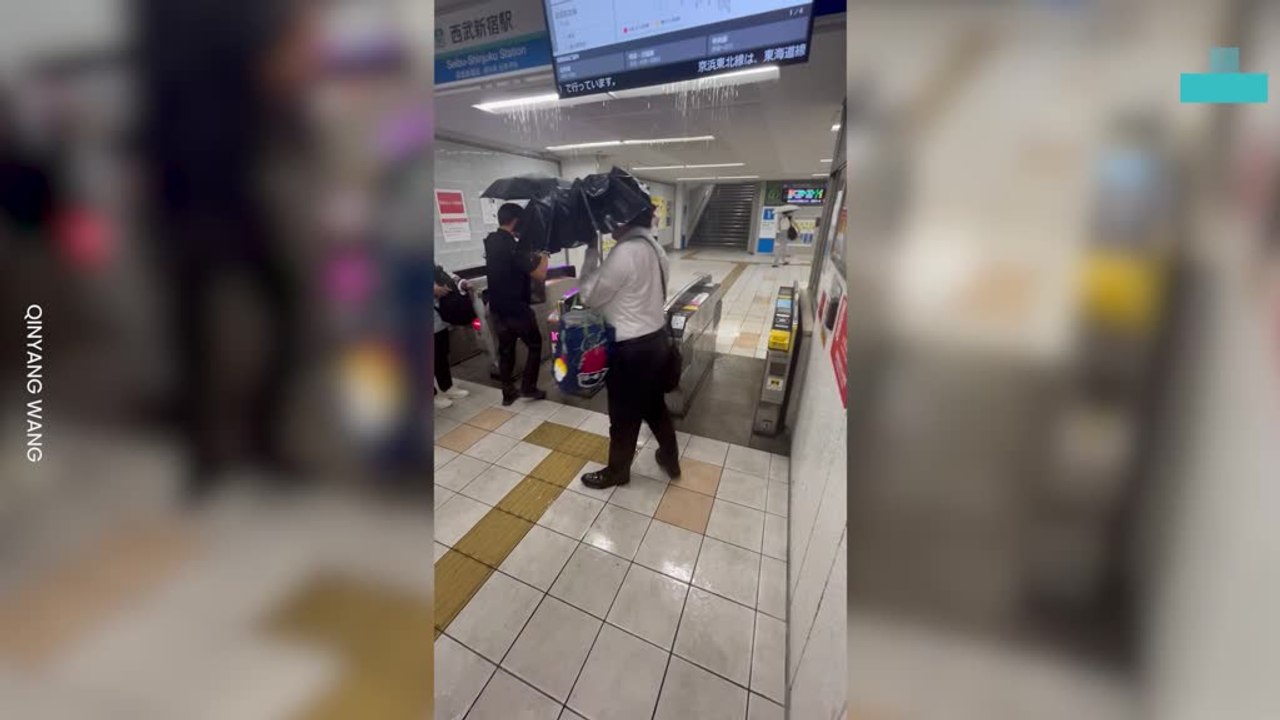 Tokyo Storm