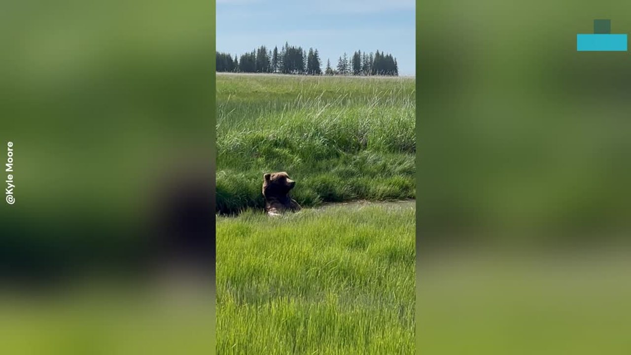 Grizzly Bath Time