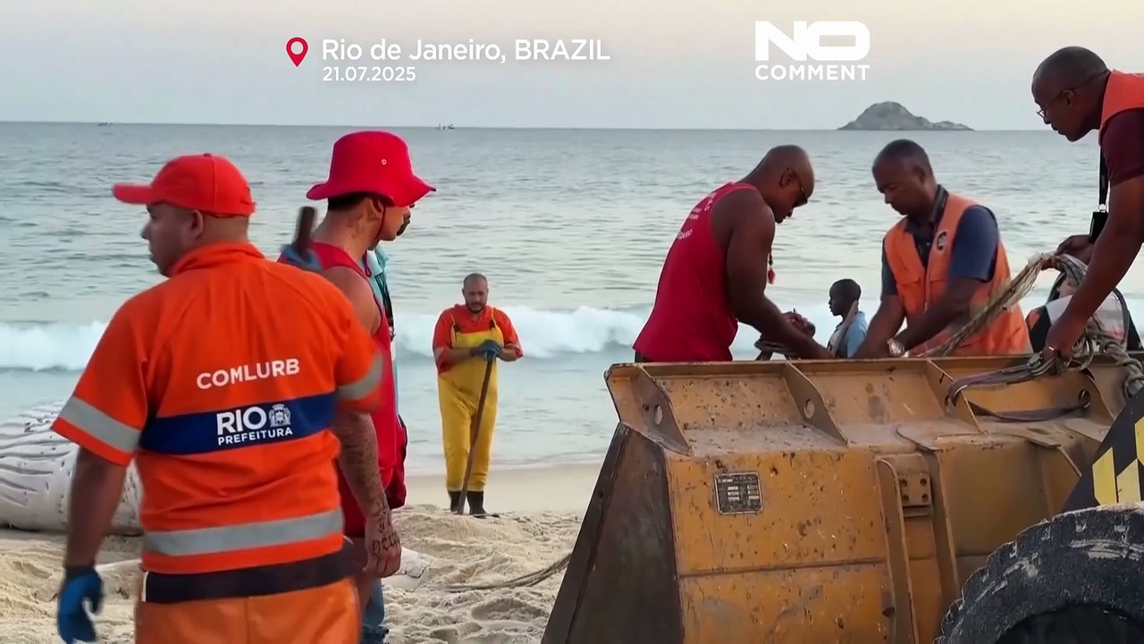 Balena morta trovata sulla spiaggia di Rio de Janeiro