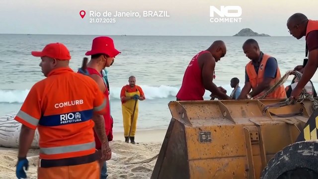Dead humpback whale washes ashore in Rio de Janeiro