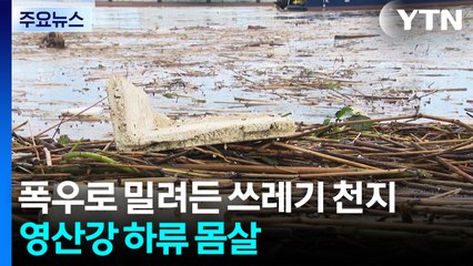 폭우로 밀려든 쓰레기 천지...영산강 하류 몸살 / YTN