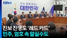 진보 진영도 '레드 카드'...민주, 엄호 속 말실수 진땀도 / YTN