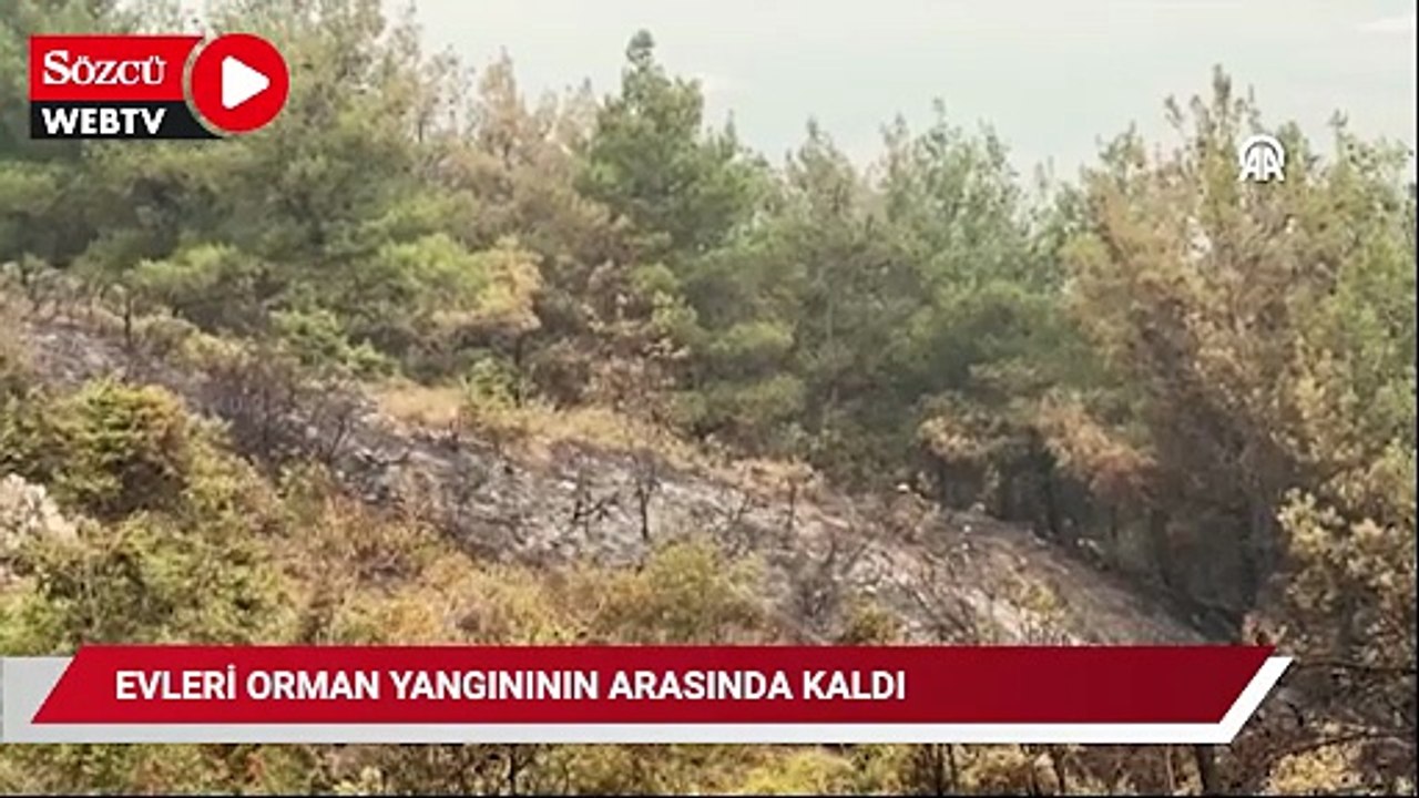 Evleri orman yangınının arasında kalan çift yaşadıklarını anlattı