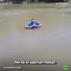 periodista encuentra a una niña que buscaban en el fndo de un río