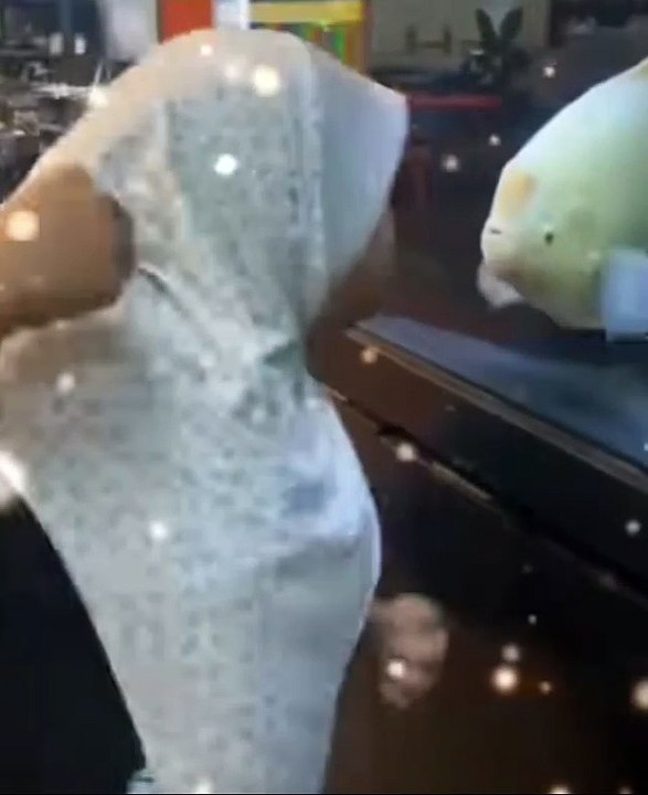 Fish fighting with girl