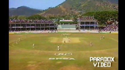 Meyrick Pringle took Desmond Haynes's wicket vs. West Indies 3rd ODI at Port of Spain in 1992-93