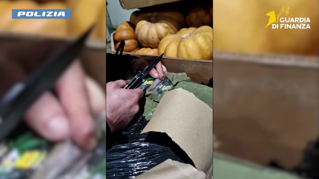 Droga nascosta tra le zucche: 12 arresti tra Napoli e Marano, sequestrate 5 tonnellate di stupefacenti (22.07.25)