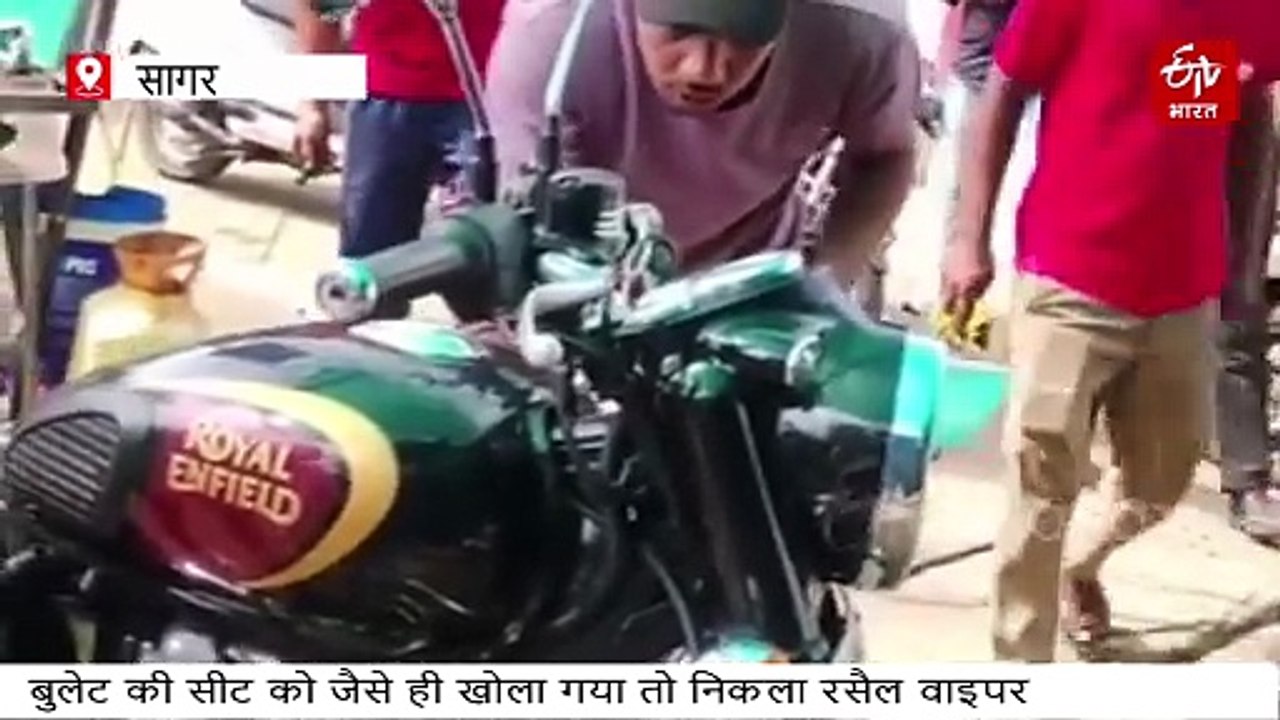 सबसे जहरीले सांप रसैल वाइपर को बुलेट की सवारी का शौक