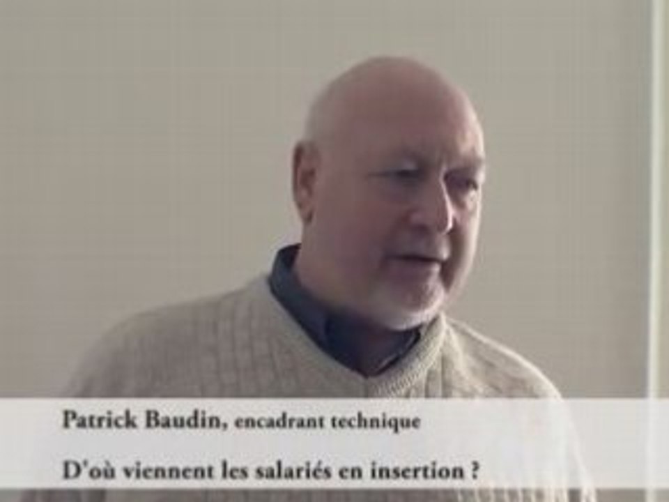 Sujet 2 : Qui sont les salariés en insertion ?