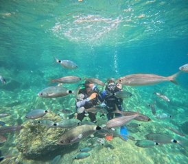 Burada sadece plaj değil denizin dibi de muhteşem!