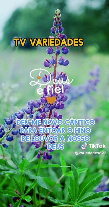 Esperei com paciência