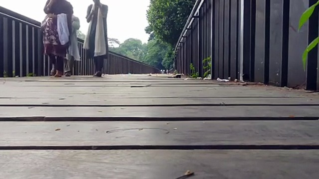 ROMANTIC JOURNEY ACROSS THE BRIDGE