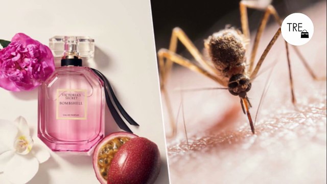 La verdad sobre si tu perfume atrae a los insectos, según la ciencia