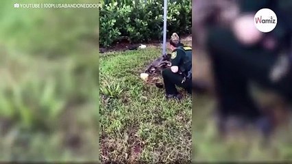 Hund an Pfahl angebunden: Seine Reaktion trifft die Polizistin mitten ins Herz (Video)