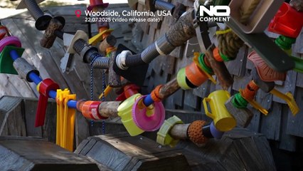 NO COMMENT: Unos trolls hechos con basura advierten sobre la destrucción medioambiental