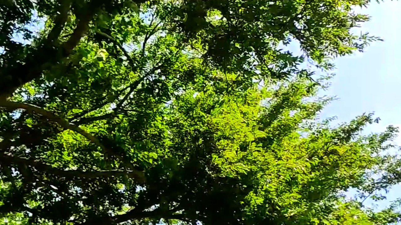 Relaxing Nature 😍