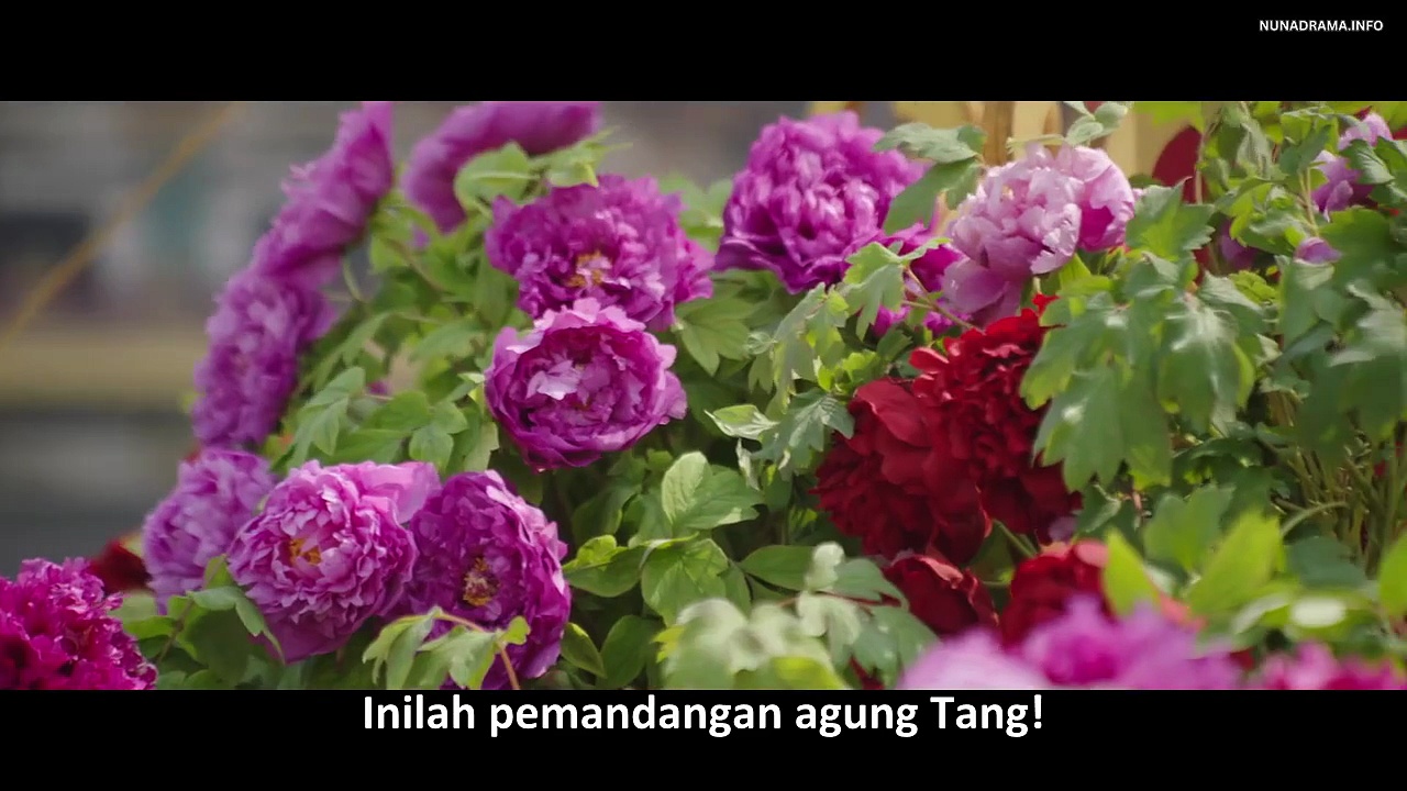  (indo sub) ep 10 in the name of blossom