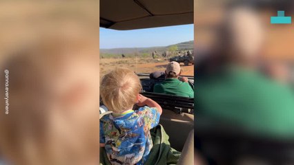 Kid Waves at Lots of Elephants