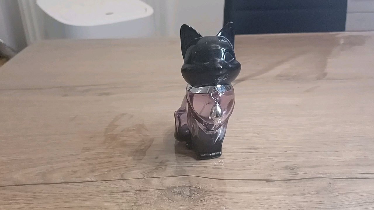 coup de gueule léger 7 😂😂😂