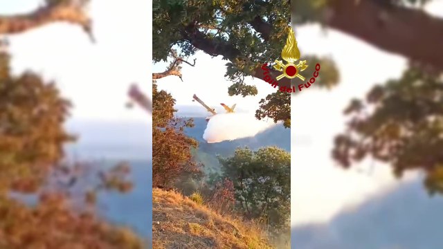 Gimigliano (CZ) - Incendio boschivo a Cavorà, in azione Canadair (22.07.25)
