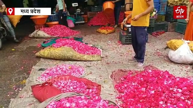 मध्य प्रदेश के फूल पूरी दुनिया में बिखेर रहे खुशबू, फ्लावर फार्मिंग से मोटा पैसा कमा रहे किसान