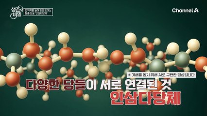 면역력을 업! 시켜준 그것?! 인삼다당체! 위암 극복과 더불어 건강한 몸을 유지하고 있다?!
