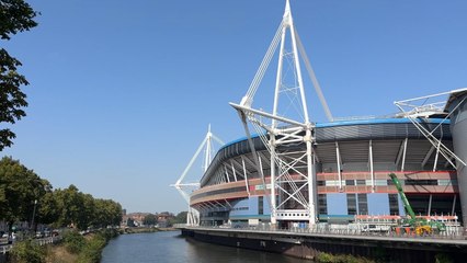 Steve Tandy handed Wales job with mandate to rebuild and inspire