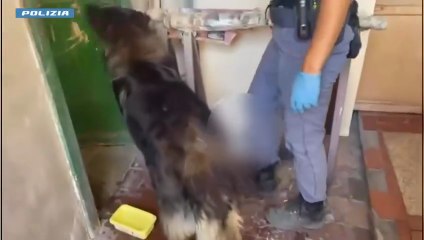 Catania: 1,5 kg di cocaina nascosti in una tappezzeria