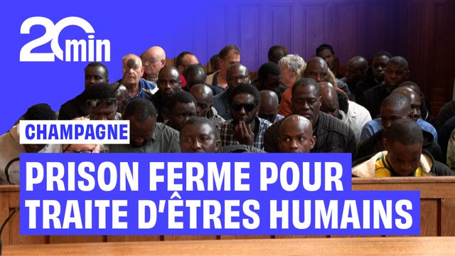 Vendanges en Champagne: prison ferme pour traite d'êtres humains