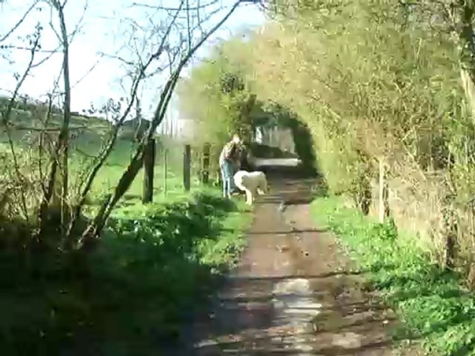 Chatouille à la vallée