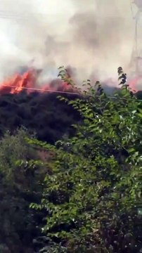Başakşehir'de otluk alanda yangın: Yüksek gerilim hattına sıçradı!