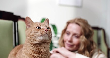 A Woman Watching Her Cat fyp