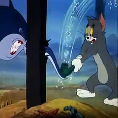 Tom and jarry cartoons