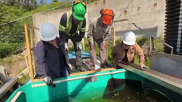 CH 22 Juillet TOPO Montaisons saumons WEB