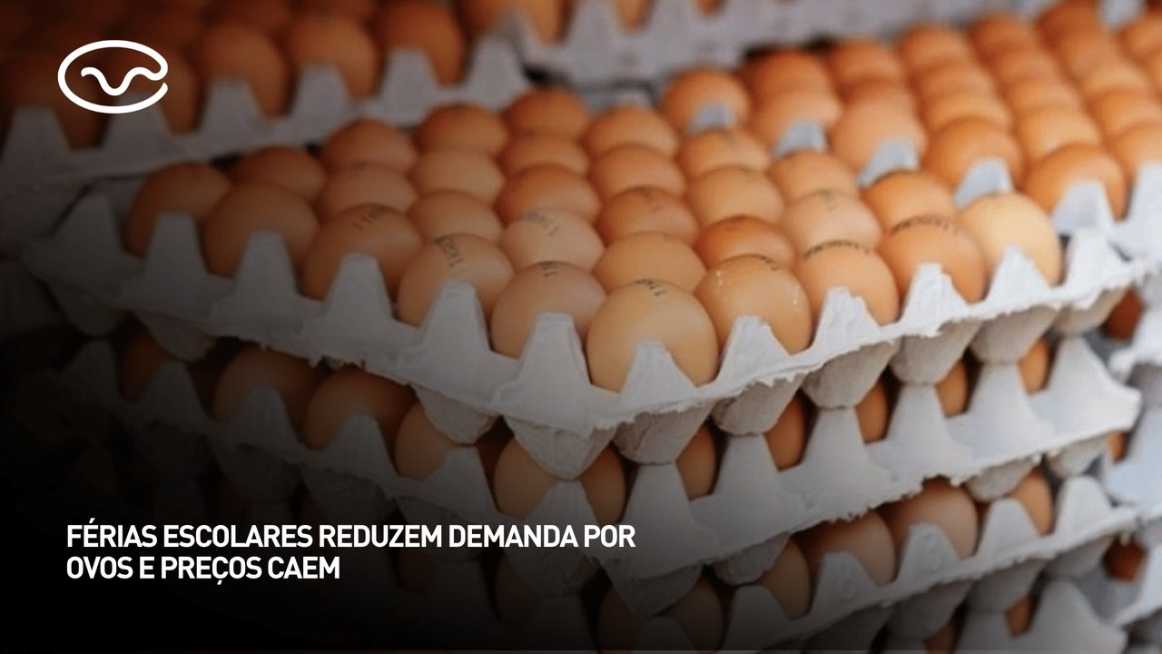 Férias escolares reduzem demanda por ovos e preços caem