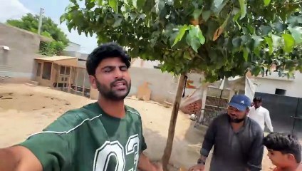 Subscribers Nay Gift Day Dia 😍 Itna Pyara Puppy @shehrmaindihat