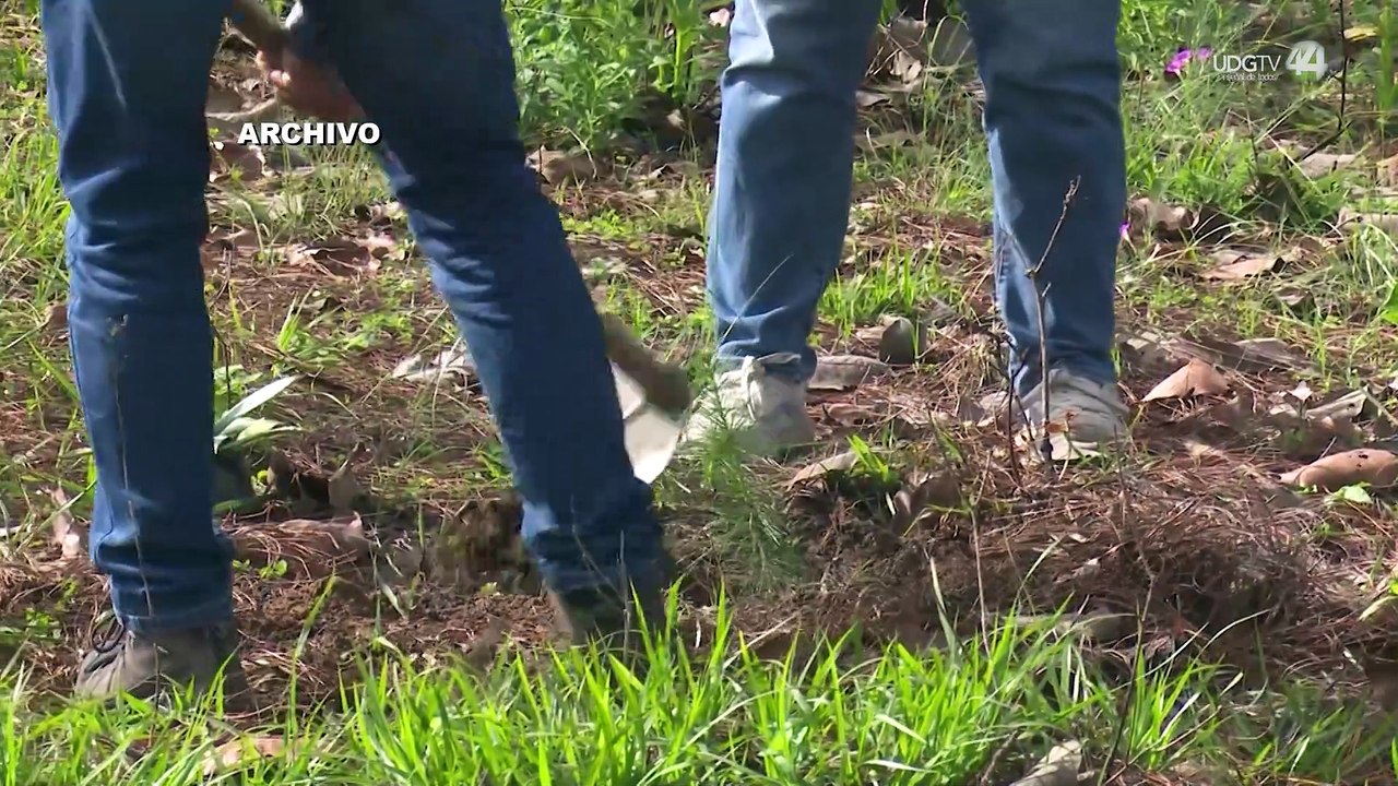 Conafor, AmCham y Jalisco planean reforestar 248 hectáreas, incluye La Primavera