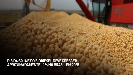 PIB da soja e do biodiesel deve chegar a 11% em 2025