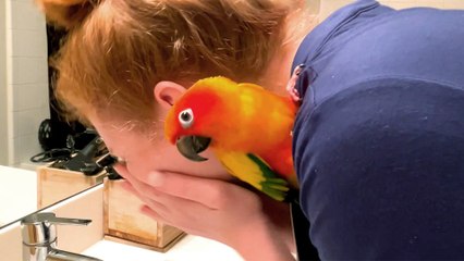 Parrot Micromanages Every Single Thing Mom Does