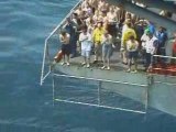 Sailors aboard USS Tarawa (LHA 1) go for a swim in the ...