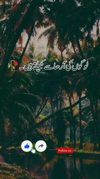 زندگی میں کبھی بھی کسی سے نفرت نہ کریں، کیونکہ نفرت دل کو سیاہ کر دیتی ہے اور محبت دل کو روشن، معاف کرنا سیکھیں، کیونکہ اللّٰهﷻ بھی انہیں معاف کرتا ہے جو دوسروں کو معاف کرتے ہیں رنجشیں دلوں میں کانٹے بچھا دیتی ہیں، لیکن محبت ان کانٹوں کو پھول بنا دیتی ہے،