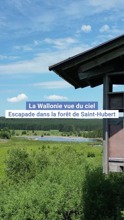 La Wallonie vue du ciel - Escapade nature dans la forêt de Saint-Hubert