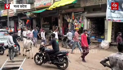 3 लड़कियों को ढूंढने में चकरघिन्नी बनी गुना पुलिस, ग्रामीणों ने किया चक्का जाम